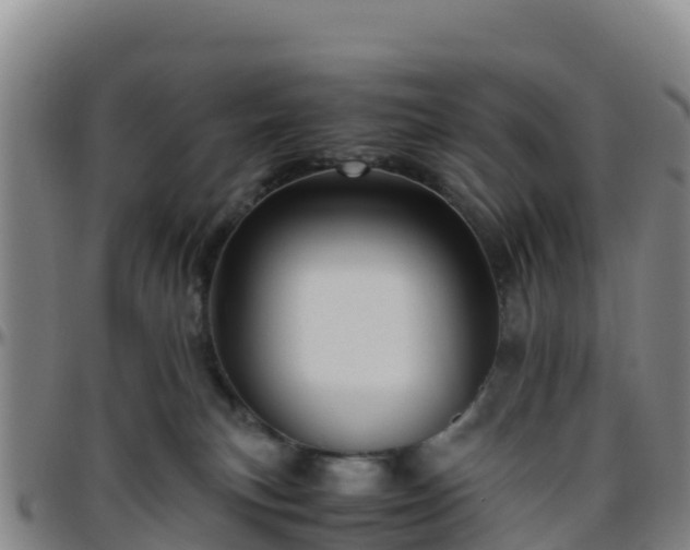 X0000096460183200801311520