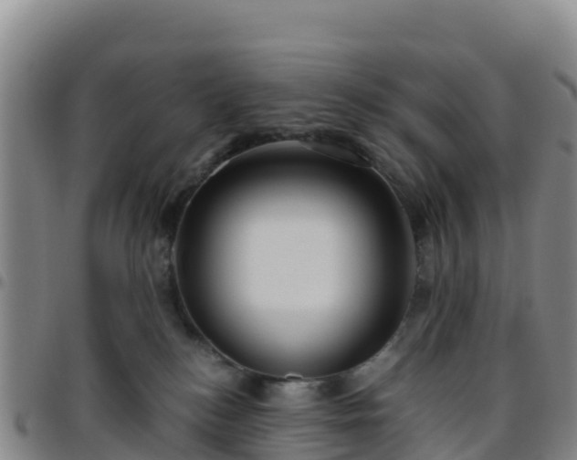 X0000096460184200801311520
