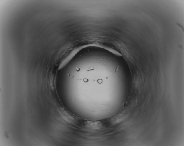 X0000096460185200801311520