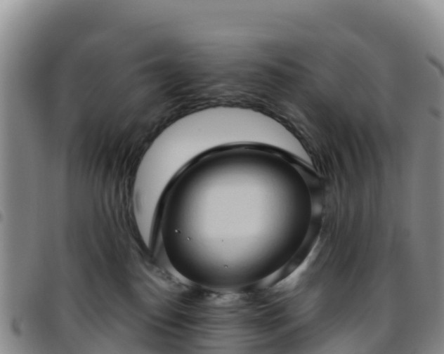 X0000096460186200801311520