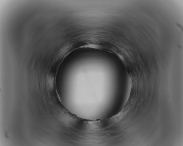 X0000096460188200801311520