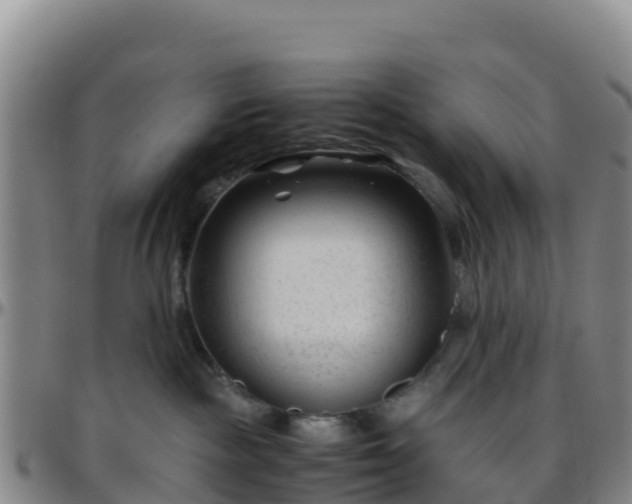 X0000096460189200801311520