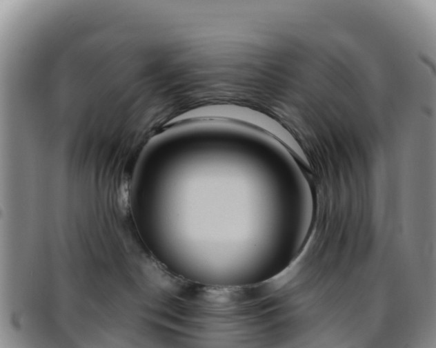 X0000096460190200801311520