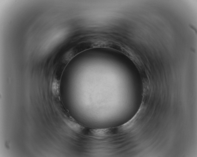 X0000096460191200801311520