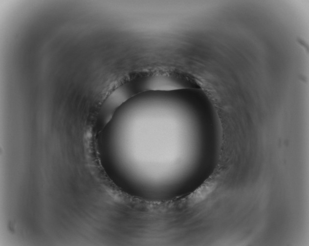 X0000096460192200801311520