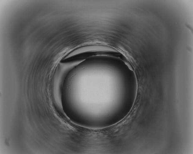 X0000096460193200801311519