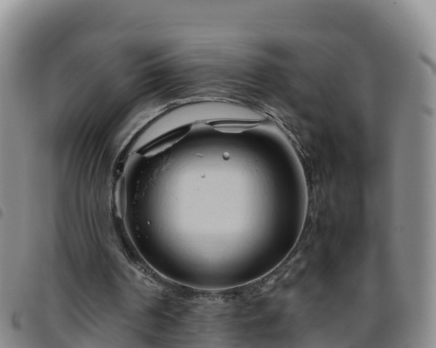 X0000096460194200801311519