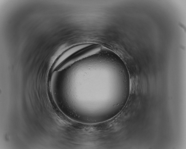 X0000096460195200801311519