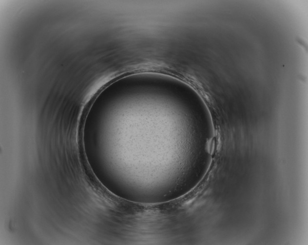 X0000096460196200801311519