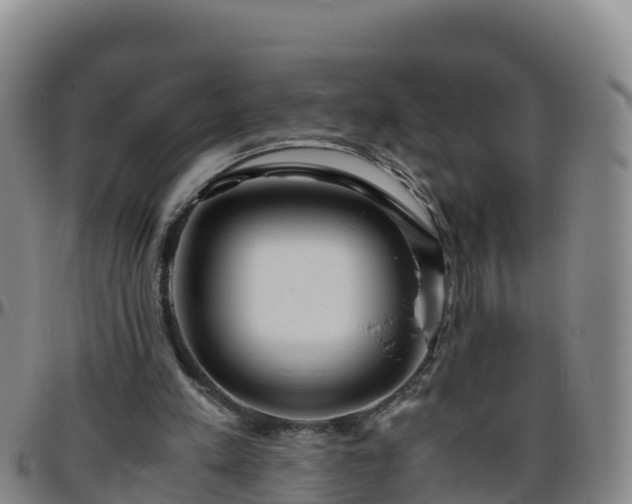 X0000096460197200801311519