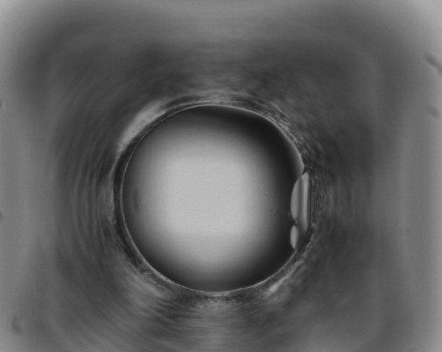 X0000096460198200801311519