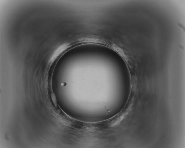 X0000096460199200801311519