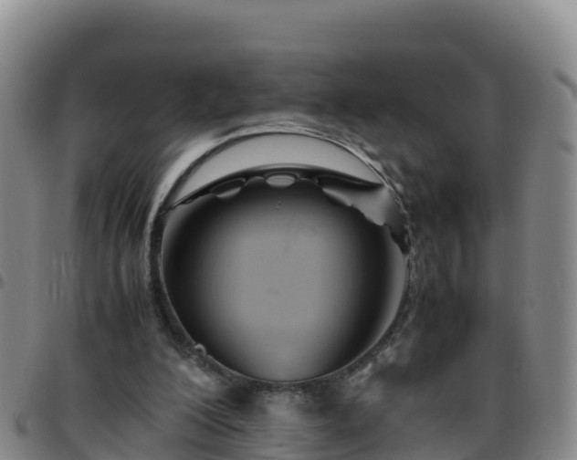 X0000096460200200801311519