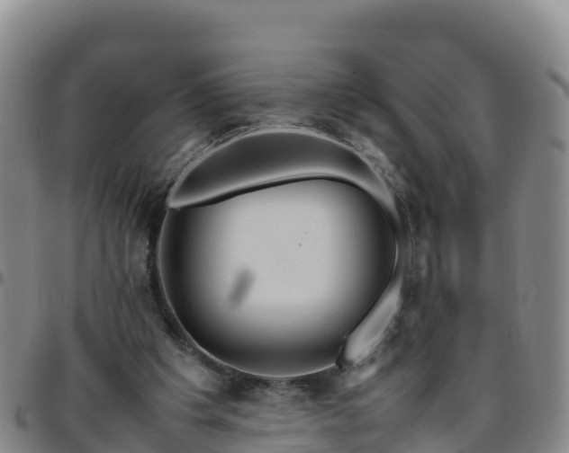 X0000096460201200801311519