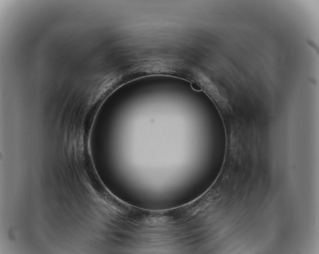 X0000096460202200801311519