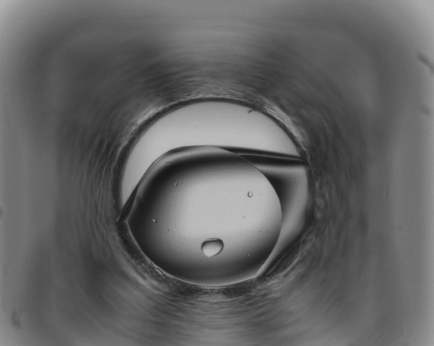 X0000096460203200801311519