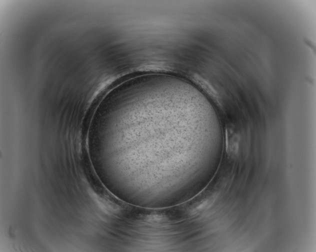 X0000096460204200801311519
