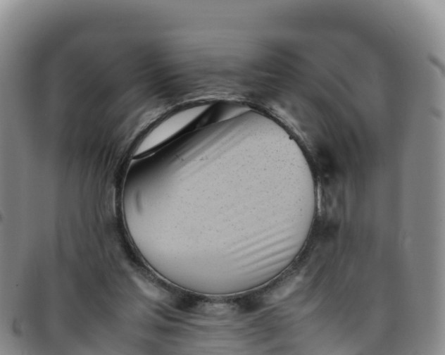 X0000096460205200801311519