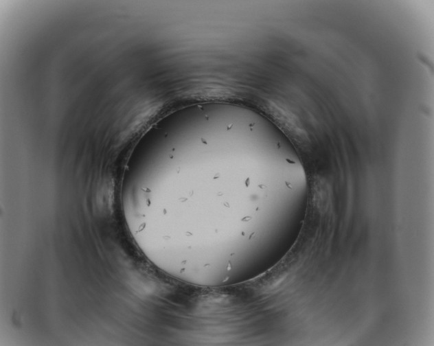 X0000096460206200801311519