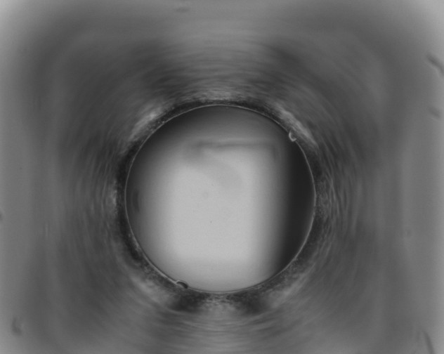 X0000096460207200801311519
