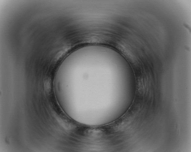 X0000096460208200801311519