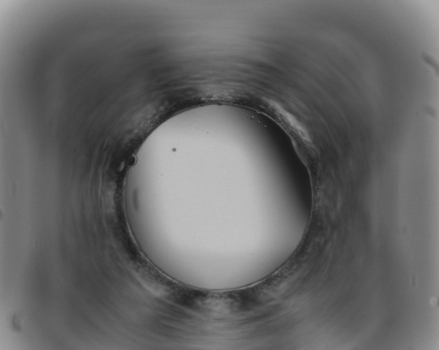 X0000096460209200801311519