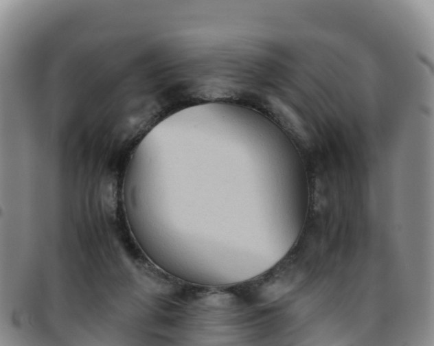 X0000096460210200801311519