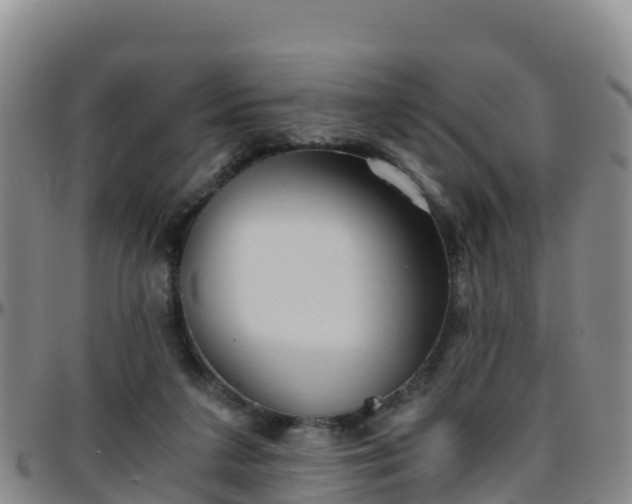 X0000096460211200801311519