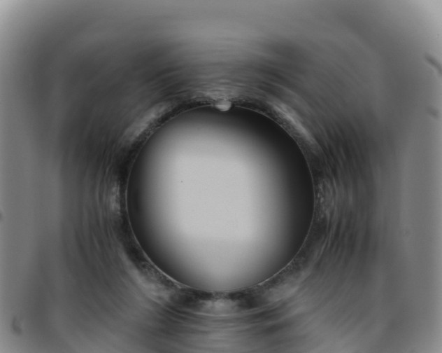 X0000096460212200801311519