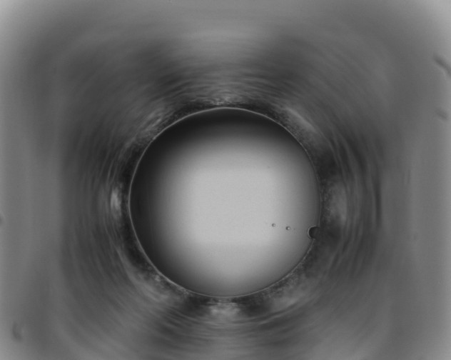 X0000096460214200801311519