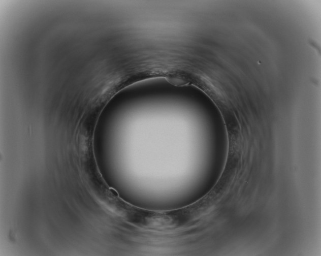 X0000096460215200801311519
