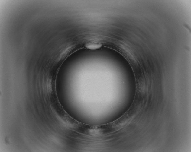 X0000096460216200801311519