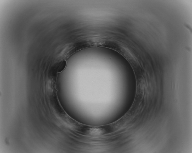 X0000096460218200801311519
