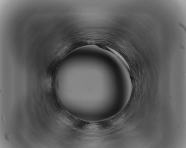 X0000096460219200801311519