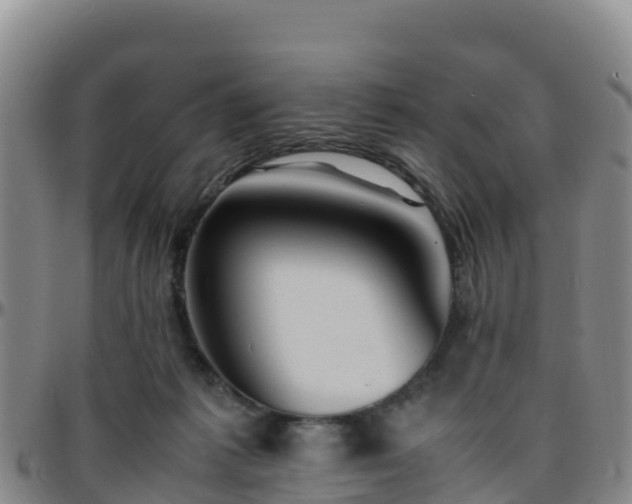 X0000096460221200801311519