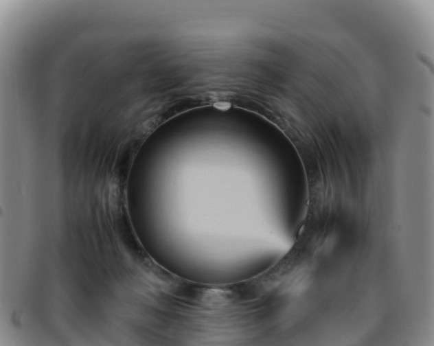 X0000096460222200801311519