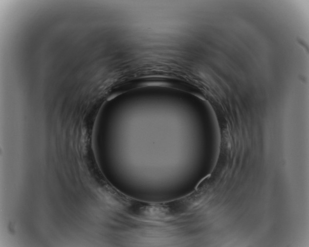 X0000096460223200801311519