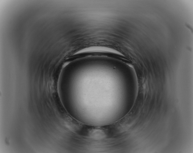 X0000096460224200801311519