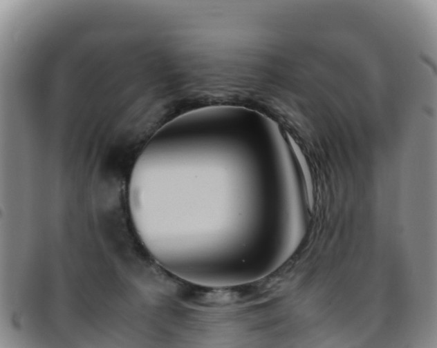 X0000096460225200801311519