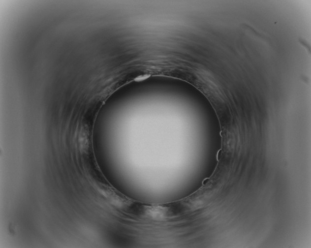 X0000096460226200801311519