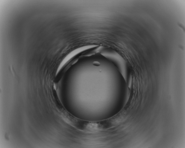 X0000096460227200801311519