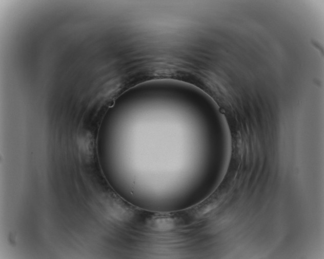X0000096460228200801311519