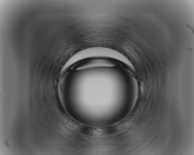 X0000096460229200801311519