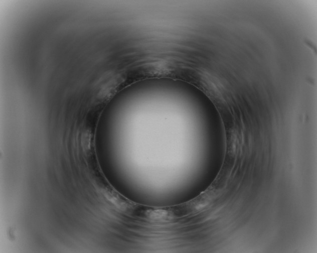 X0000096460230200801311519