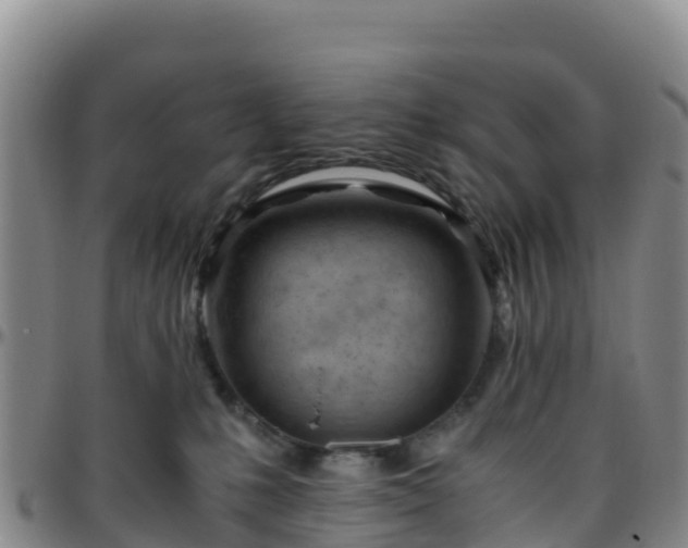 X0000096460231200801311519