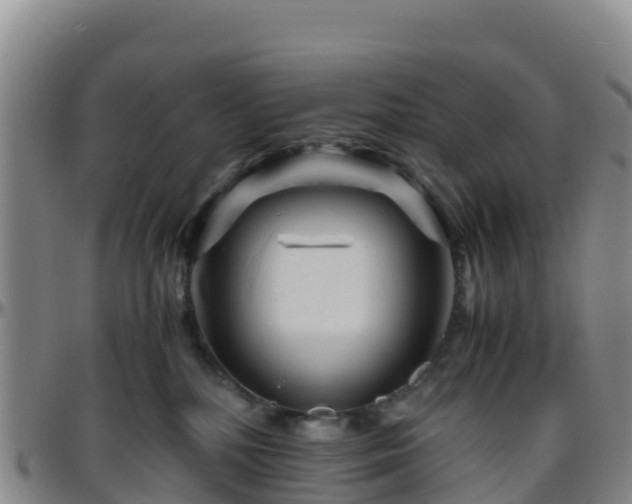 X0000096460232200801311519