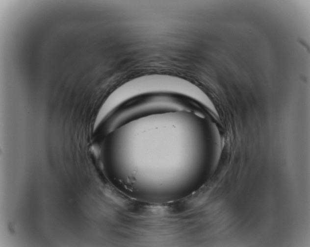 X0000096460233200801311519