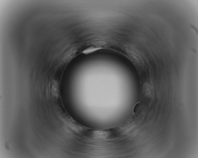 X0000096460234200801311519
