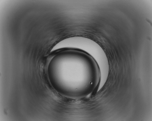 X0000096460235200801311519