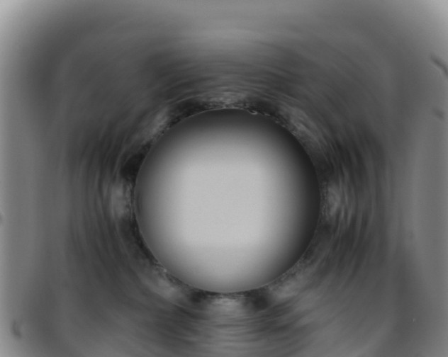 X0000096460236200801311519